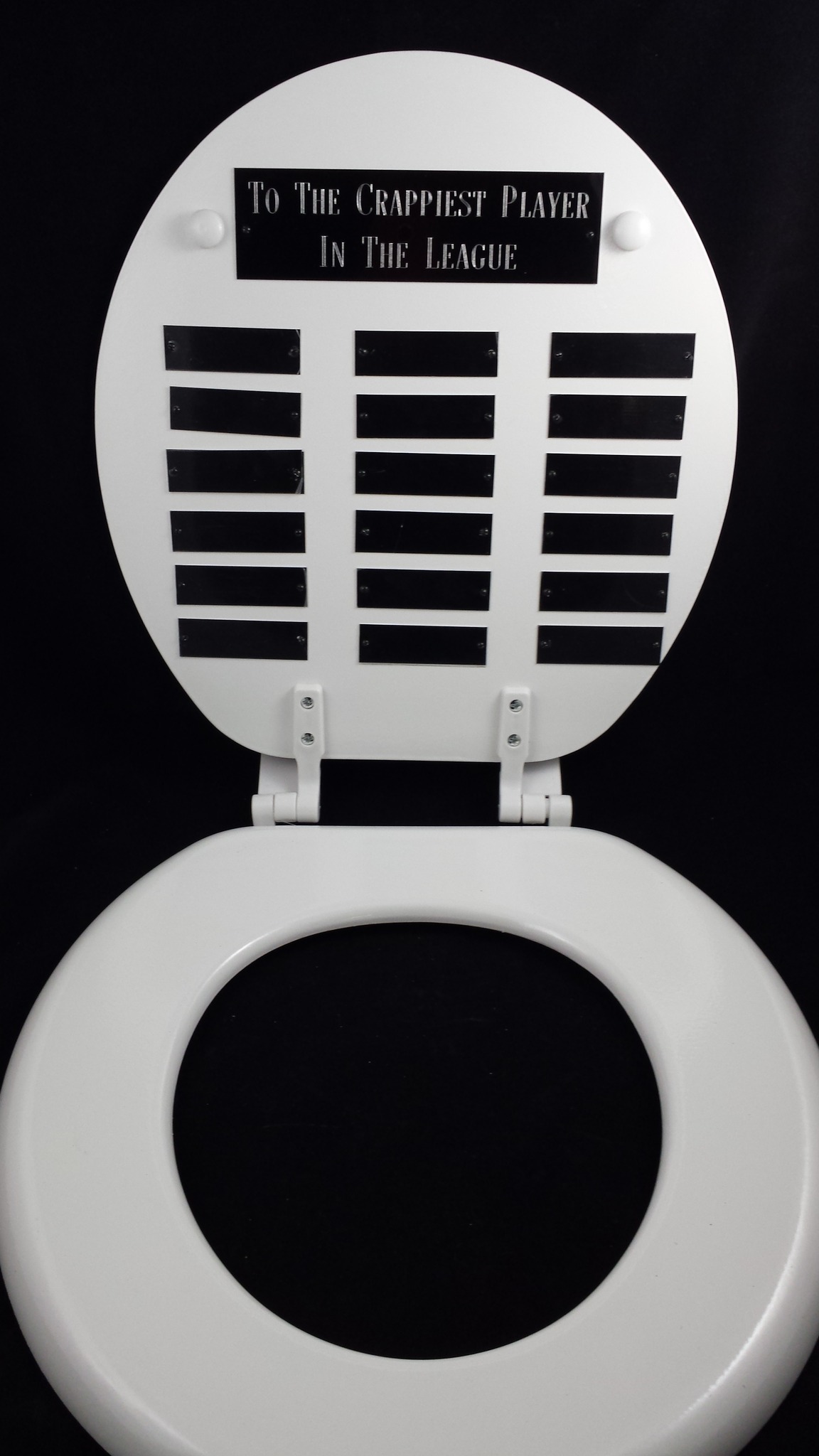 Crappiest Player Perpetual Plaque